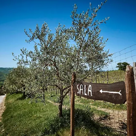 Casa Iris Panzano In Chianti דירה