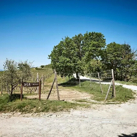 דירה Casa Iris Panzano In Chianti Pieve di Panzano